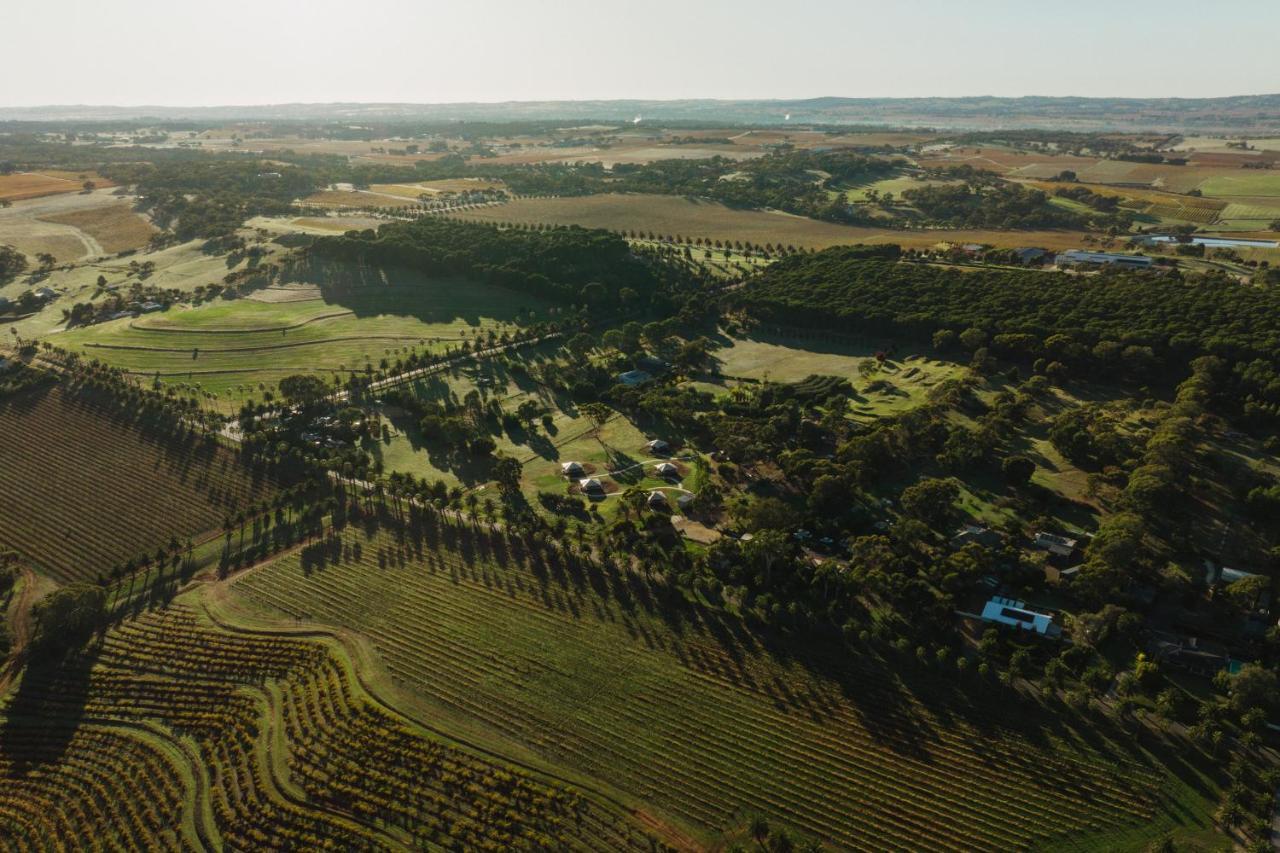 Canvs By Cabn Seppeltsfield Barossa ภายนอก รูปภาพ