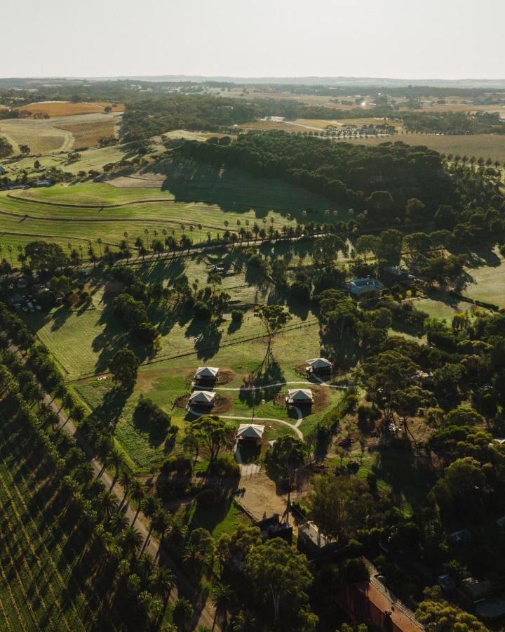Canvs By Cabn Seppeltsfield Barossa ภายนอก รูปภาพ
