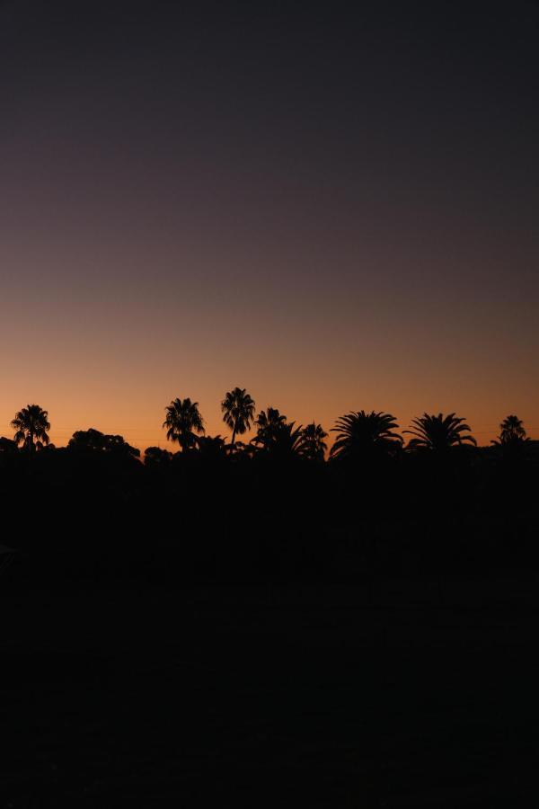 Canvs By Cabn Seppeltsfield Barossa ภายนอก รูปภาพ