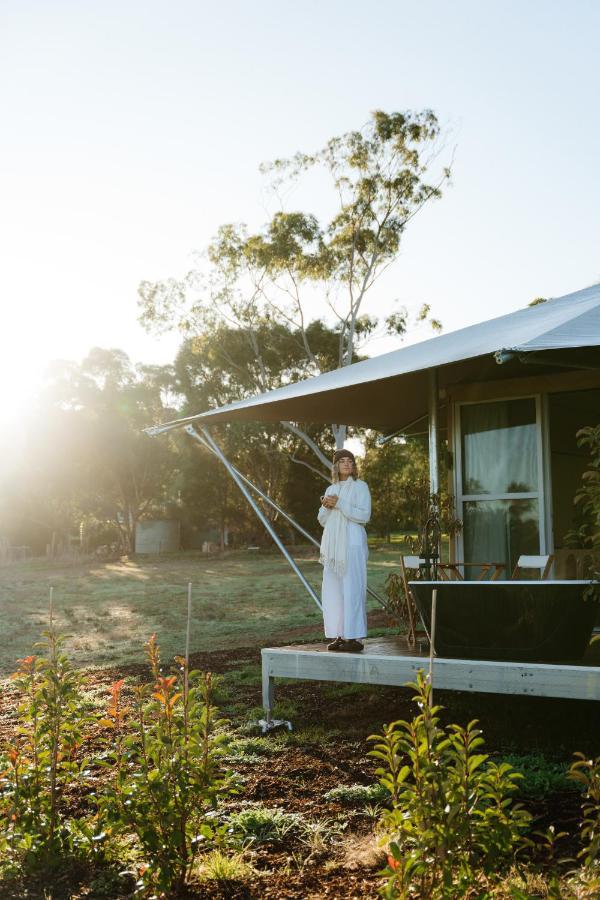 Canvs By Cabn Seppeltsfield Barossa ภายนอก รูปภาพ